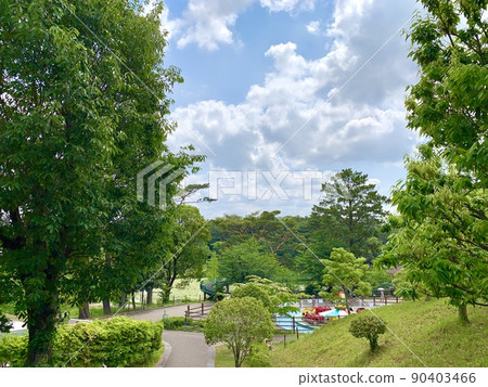 新鮮的綠色南方公園[愛知縣岡崎市] 90403466
