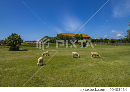 Shiga Prefectural Livestock Technology Promotion Center 90403484
