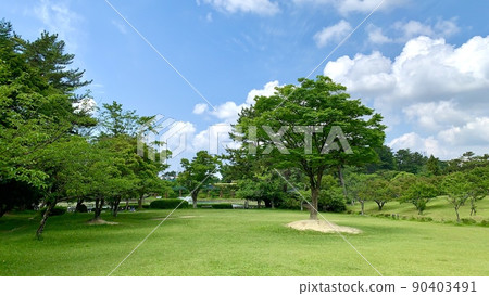 Fresh green lawn plaza that shines against the blue sky <Minami Park/Okazaki City, Aichi Prefecture> Fresh green lawn plaza that shines against the blue sky <Minami Park/Okazaki City, Aichi Prefecture> 90403491