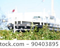 White rose with Hikawamaru in the background 90403895