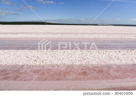 Salty lagoon prepared to extract raw salt, mining industry in Argentina 90403900