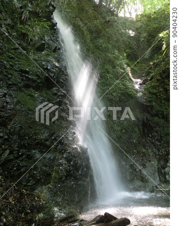 國龍瀑布(丹澤/表丹澤縣立森林)神奈川縣秦野市 國龍瀑布(丹澤/表丹澤縣立森林)神奈川縣秦野市 90404230