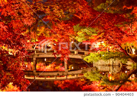 The night view of the autumn leaves dyed in bright red and the reflection of the illuminated bridge 90404403