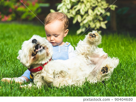 Happy baby girl playing with domestic family dog on green grass at back yard lawn Happy baby girl playing with domestic family dog on green grass at back yard lawn 90404680