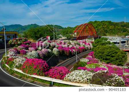 Seto of Otodo in full bloom of azaleas (Kure City, Hiroshima Prefecture) 90405183