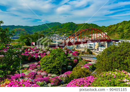 杜鵑花盛開的音戶瀨戶(廣島縣吳市) 杜鵑花盛開的音戶瀨戶(廣島縣吳市) 90405185