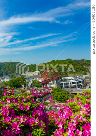 Seto of Otodo in full bloom of azaleas (Kure City, Hiroshima Prefecture) 90405186
