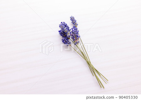 幹薰衣草花 90405330