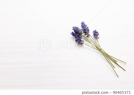 幹薰衣草花 90405371