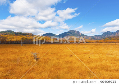 日光國立公園，戰場原，紅葉 90406933