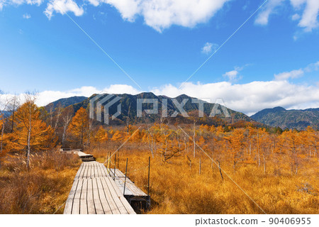 日光國立公園：戰場原和紅葉木板路 90406955