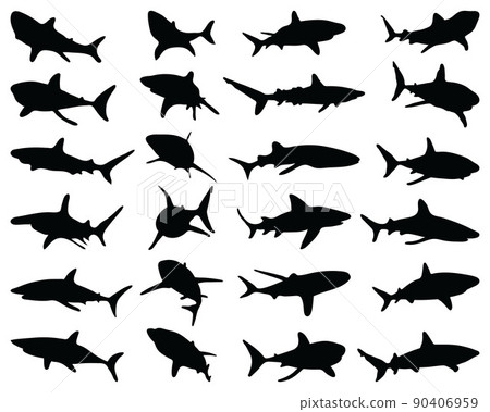 Black silhouettes of sharks on a white background Black silhouettes of sharks on a white background 90406959