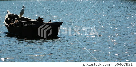 漂浮在大池的小船和鴨子 90407951