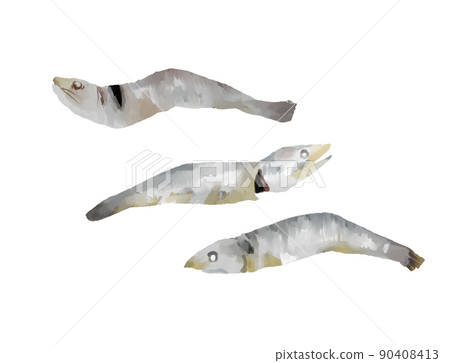 Illustration of dried sardines in a watercolor style 90408413