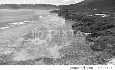 [Monochrome] Aerial view Ishigaki Island Yonehara Beach 90408587