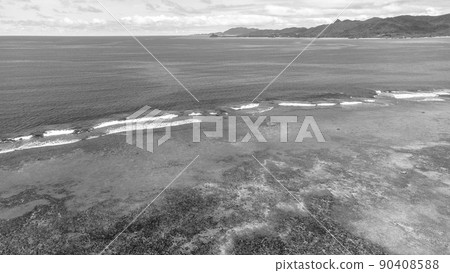 [Monochrome] Aerial view Ishigaki Island Yonehara Beach 90408588