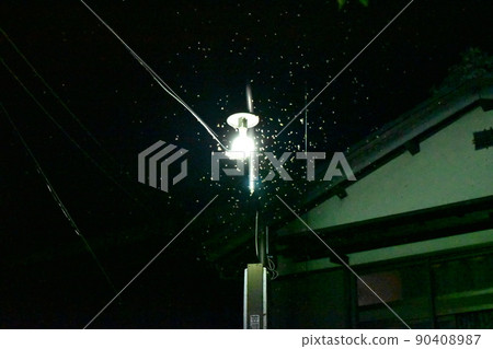 街燈上成群結隊的昆蟲 街燈上成群結隊的昆蟲 90408987