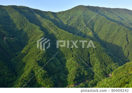 Fresh green namego valley 90409242