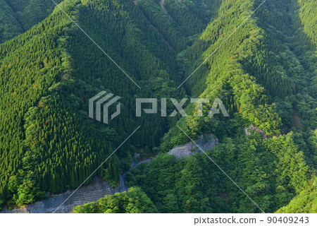 Fresh green namego valley 90409243