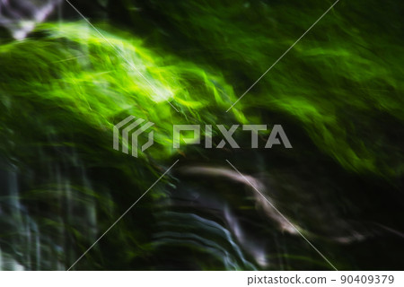 Bra the young leaves of the maple 90409379