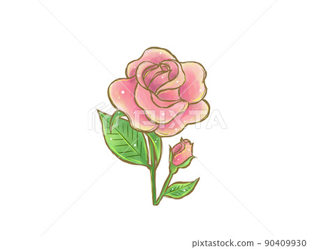 Pink hand-painted rose flower - Stock Illustration [90409930] - PIXTA