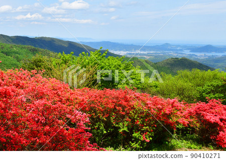Miyagi Prefecture Kesennuma City Tokusen Jozan Azalea Famous Place Yamatsutsuji 90410271