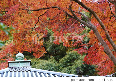 Kuanji秋葉 Kuanji秋葉 90410940