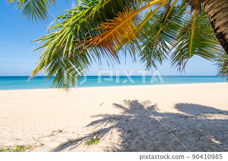 Amazing beautiful Phuket beach with coconut palm trees Thailand Landscapes view of sand beach sea and clear blue sky in summer season At Beach Phuket Thailand Amazing beautiful Phuket beach with coconut palm trees Thailand Landscapes view of sand beach sea and clear blue sky in summer season At Beach Phuket Thailand 90410985