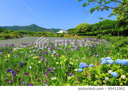 [Ehime Prefecture] Nanrakuen Garden Iris Festival in fine weather 90411062