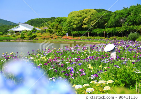 [Ehime Prefecture] Nanrakuen Garden Iris Festival in fine weather 90411116