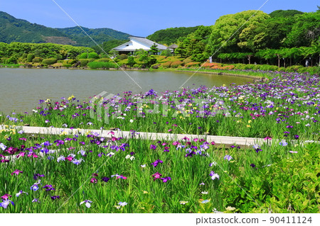 [愛媛縣]好天氣的南樂園鳶尾花節 90411124