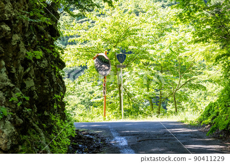 [National highway No. 157] National highway sign at the end of the cut 90411229