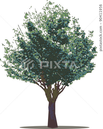 Tree tree Tree tree 90411956