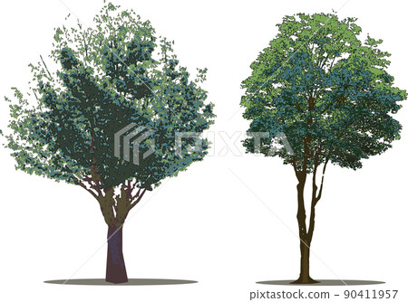 Tree tree set Tree tree set 90411957