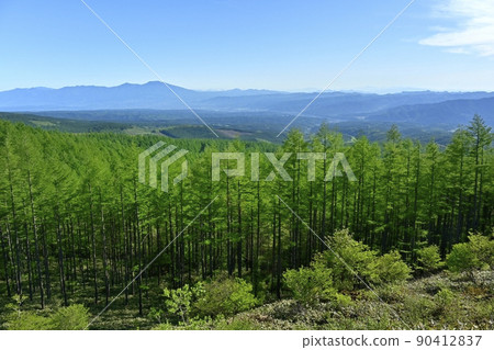 從穿過八千穗高原的三千道和八岳觀景道交匯處的觀景台可以看到櫻平和淺間山脈 從穿過八千穗高原的三千道和八岳觀景道交匯處的觀景台可以看到櫻平和淺間山脈 90412837