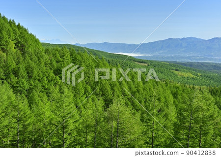 從穿越八千穗高原的三千道與八岳觀景道交界處的觀景台看落葉松林中的信州山脈 從穿越八千穗高原的三千道與八岳觀景道交界處的觀景台看落葉松林中的信州山脈 90412838