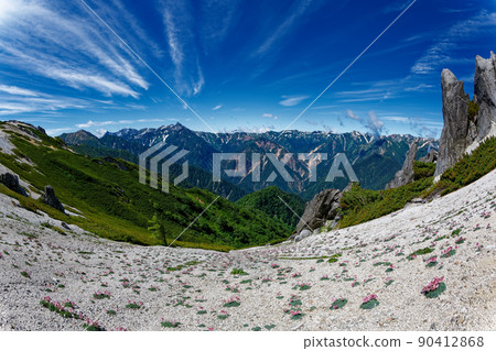 Mt. Yarigatake seen from Mt. Tsubakuro where Dicentra blooms 90412868