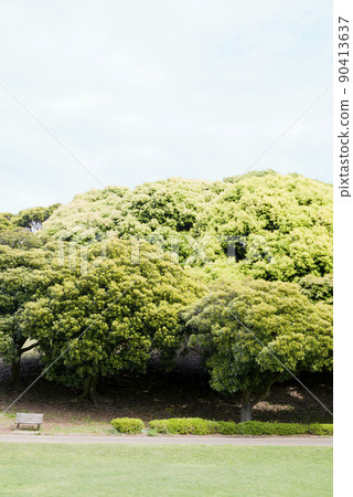 根岸森林公園 根岸森林公園 90413637