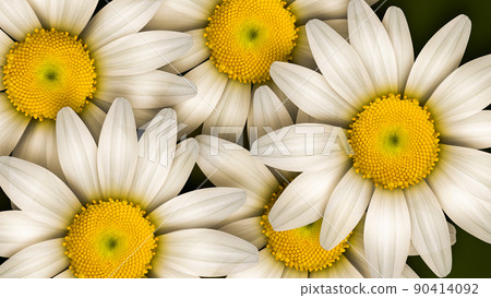 Natural Design Background with White Daisies 90414092