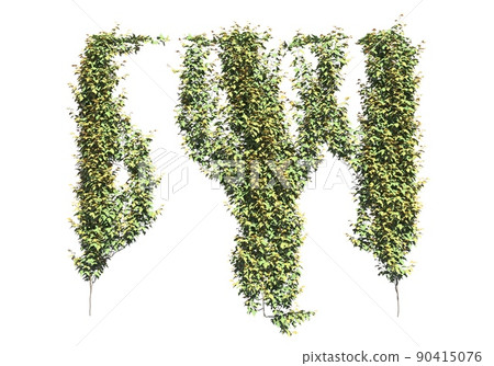 Climbing plants creepers isolated on white background 3d illustration 90415076