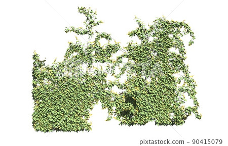 Climbing plants creepers isolated on white background 3d illustration 90415079