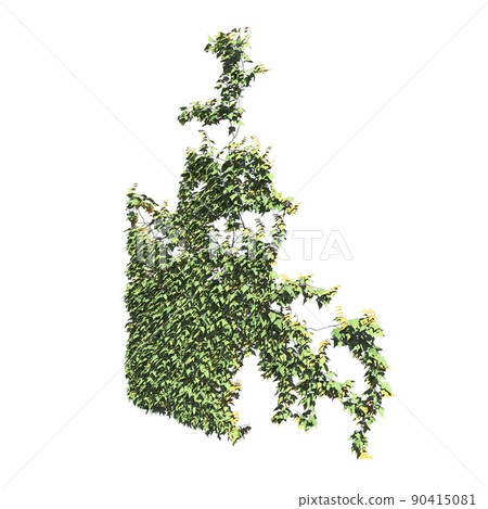 Climbing plants creepers isolated on white background 3d illustration 90415081