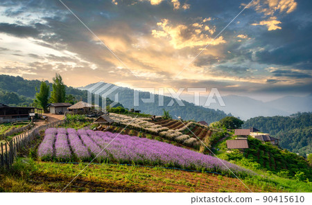 Flowers at the Mon Jam Skywalk 90415610