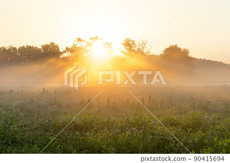 Sunrise over Foggy Meadow 90415694