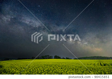 Rape field and Milky Way at night 90415851