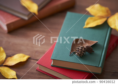Autumn reading image: Fallen leaves and books Autumn reading image: Fallen leaves and books 90416012