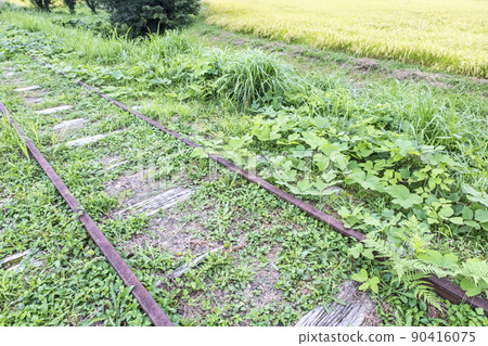 Abandoned line trace of autumn color (former JNR Kurayoshi line) 90416075