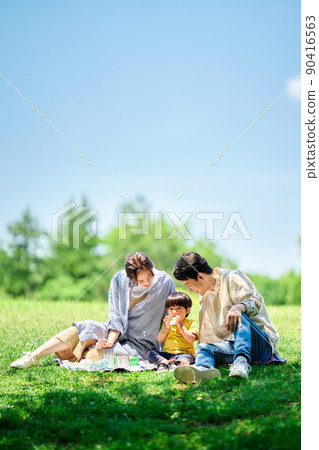 Family picnicking in the park 90416563