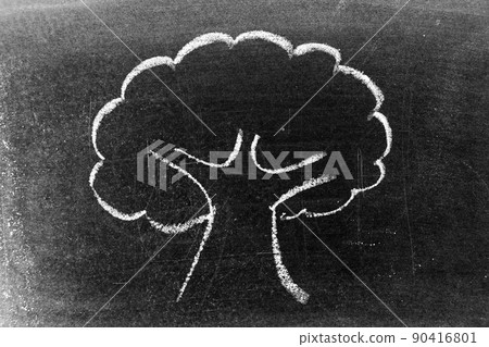 White color chalk doodle handdrawing in tree shape on black board background White color chalk doodle handdrawing in tree shape on black board background 90416801