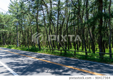 《Saga Prefecture》 Niji no Matsubara 《Saga Prefecture》 Niji no Matsubara 90417364